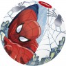 Пляжный мяч BESTWAY SPIDER-MAN 98002 51 см 98002 BW Пляжный мяч BESTWAY SPIDER-MAN 98002 51 см 98002 BW